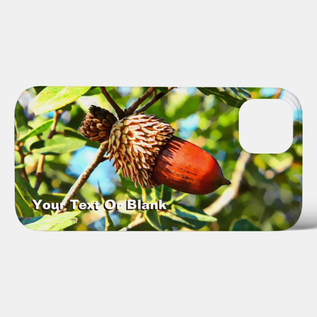 Galilee Acorn (Baksida (horisontell))