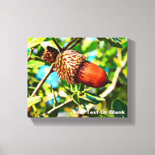 Galilee Acorn Canvastryck