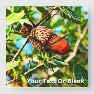 Galilee Acorn Fyrkantig Klocka