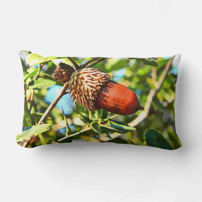 Galilee Acorn Lumbarkudde (Framsida)