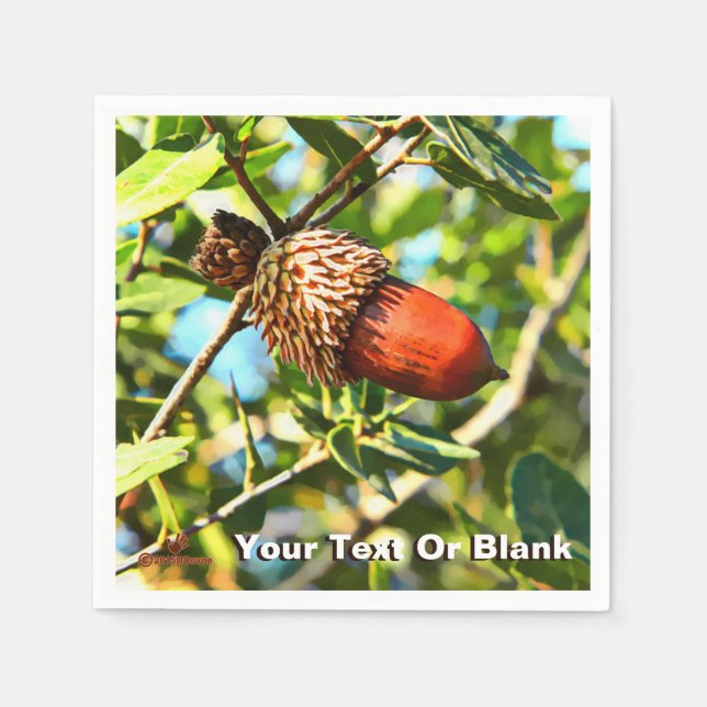 Galilee Acorn Pappersservett (Framsidan)