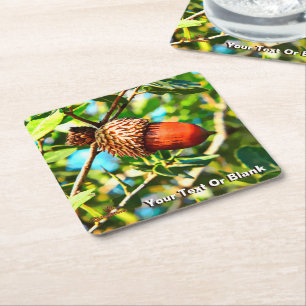 Galilee Acorn Underlägg Papper Kvadrat
