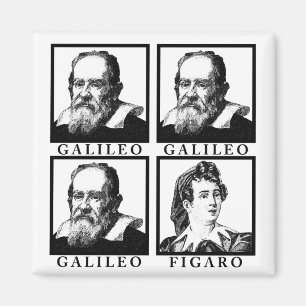 Galileo Figaro BW Magnet