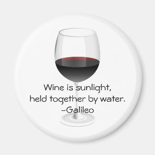 Galileo vincitationstecken magnet
