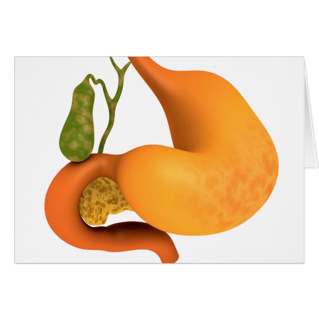 Gall Bladder med stomach Hälsningskort (Framsidan Horizontal)