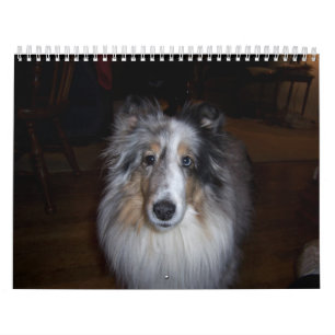 Gallagher Kalender-Wheaton 2011 Kalender