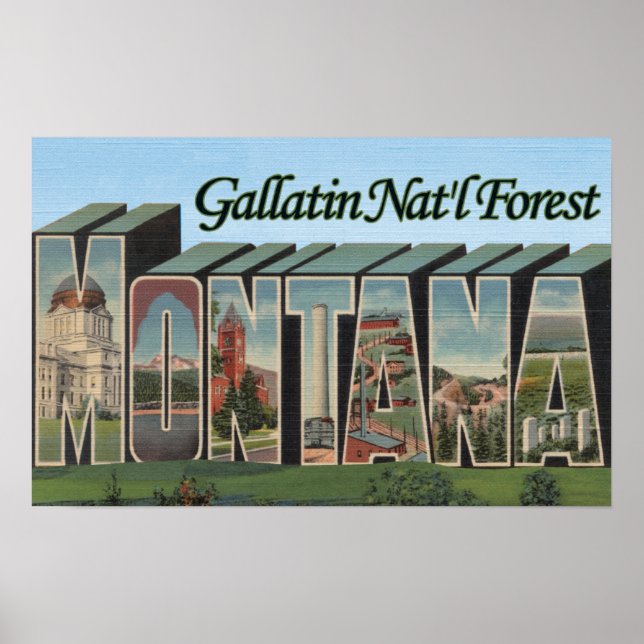 Gallatin Nat'l Forest, Montana Poster (Framsidan)