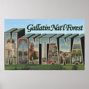 Gallatinnationalskog, Montana Poster