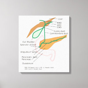 Gallblåsare för filsystemdiagram för kanvas-band canvastryck