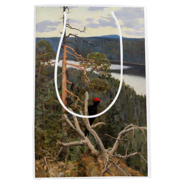 Gallen-Kallela - Underbar Black Woodpecker 1894 (Framsidan)