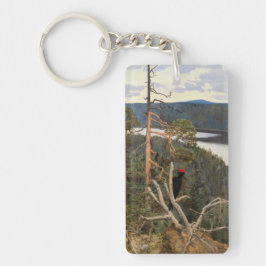 Gallen-Kallela - Underbar Black Woodpecker 1894