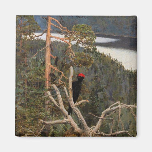 Gallen-Kallela - Underbar Black Woodpecker 1894 Magnet (Framsidan)