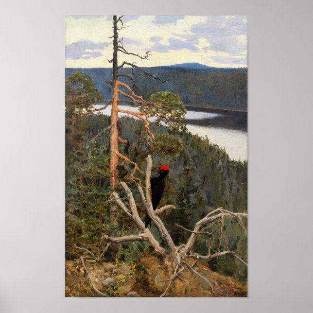 Gallen-Kallela - Underbar Black Woodpecker 1894 Poster (Framsidan)