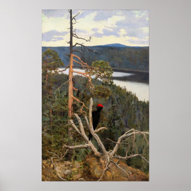 Gallen-Kallela - Underbar Black Woodpecker 1894 Poster (Framsidan)