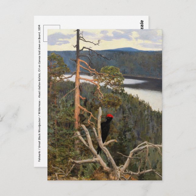 Gallen-Kallela - Underbar Black Woodpecker 1894 Vykort (Fram/baksida)