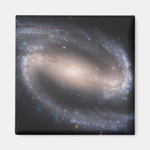 Gallerförsedd spiral galax NGC 1300 Magnet