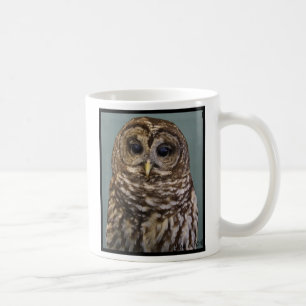 Gallerförsedd uggla kaffemugg