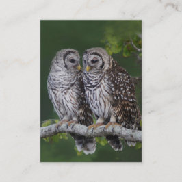 Gallerförsedd ugglabirders visitkort för djurliv