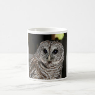Gallerförsedd ugglakaffemugg kaffemugg