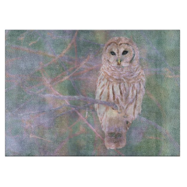 Gallerförsedd ugglapastell Oilpainting (Framsidan)