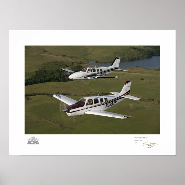 Galleri för Beech Buddies Poster (Framsidan)