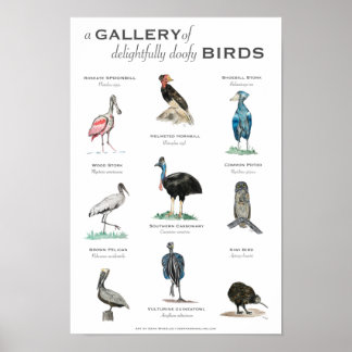Gallery of Uppenbarligen Doofy Birds 11x17 Poster