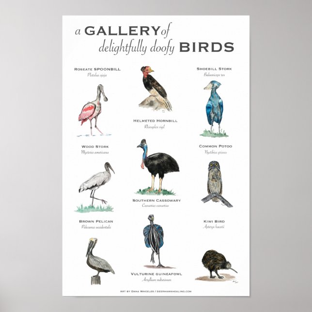 Gallery of Uppenbarligen Doofy Birds 11x17 Poster (Framsidan)