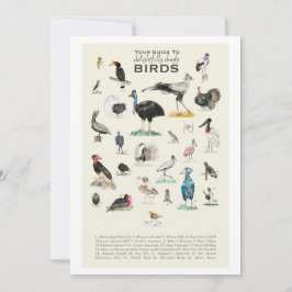 Gallery of Uppenbarligen Doofy Birds 5x7-kort