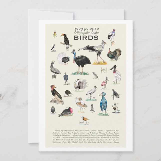 Gallery of Uppenbarligen Doofy Birds 5x7-kort (Framsida)