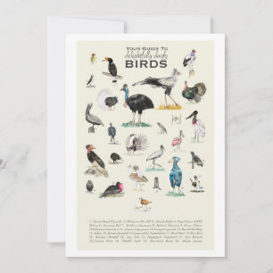 Gallery of Uppenbarligen Doofy Birds 5x7-kort
