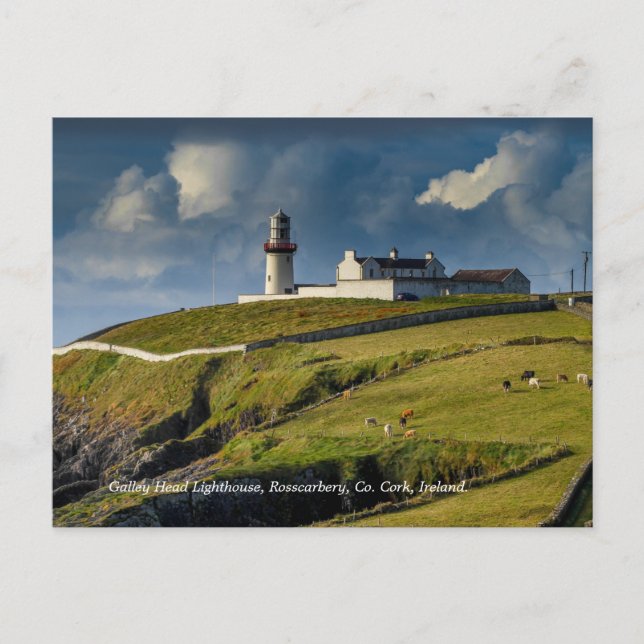 Galley Head fyr, Co. Cork Irland Vykort (Framsida)