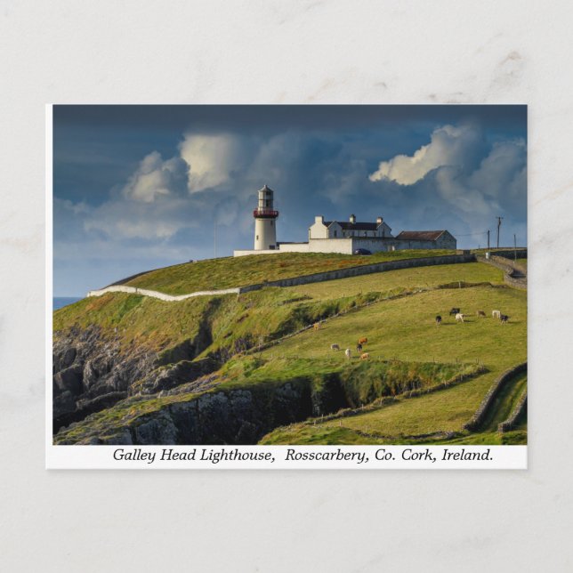 Galley Head Lighthouse, Kork, Irland Vykort (Framsida)