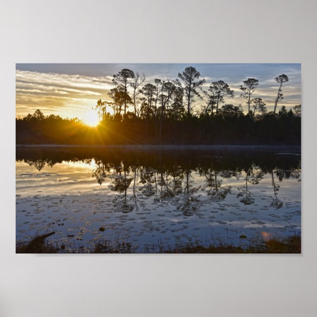 Galliard Sjö Sunrise, Audubon Bird Sanctuary Poster (Framsidan)