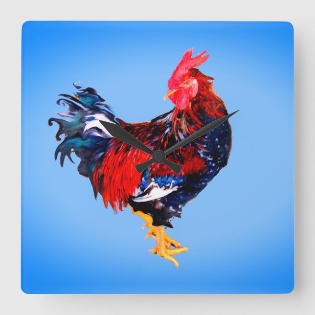 gallinakan, tupp fyrkantig klocka (Framsida)