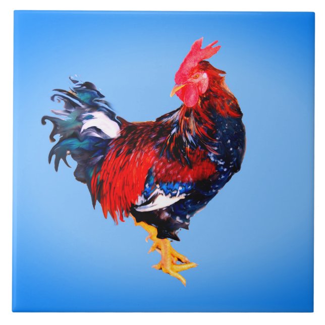 gallinakan, tupp kakelplatta (Framsidan)