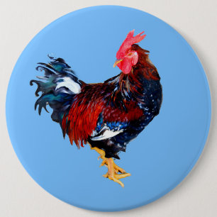 gallinakan, tupp knapp