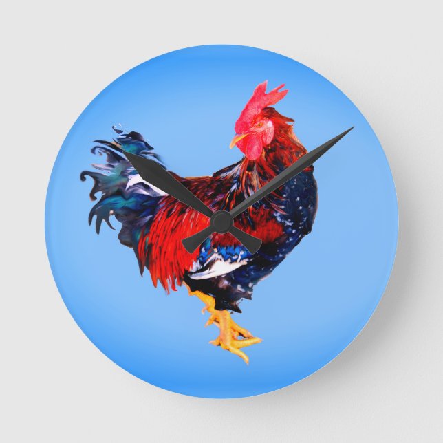 gallinakan, tupp rund klocka (Framsida)