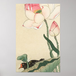 Gallinule med Lotus Flowers av Ohara Koson Poster