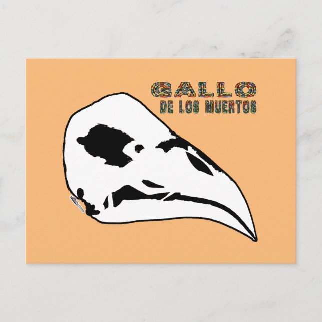 Gallo De Los Muertos Vykort (Framsida)