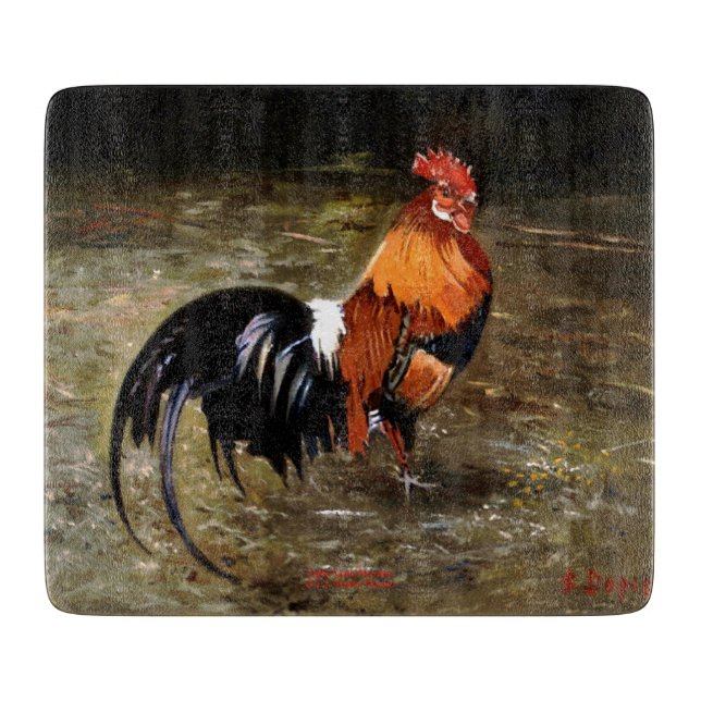 Gallo/Galo/Rooster (Framsidan)