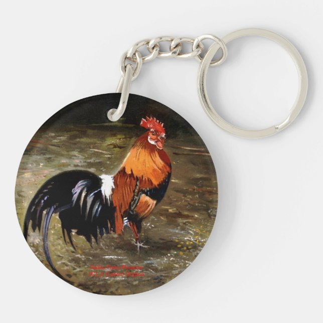 Gallo/Galo/Rooster (Baksidan)