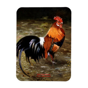 Gallo/Galo/Tupp Magnet