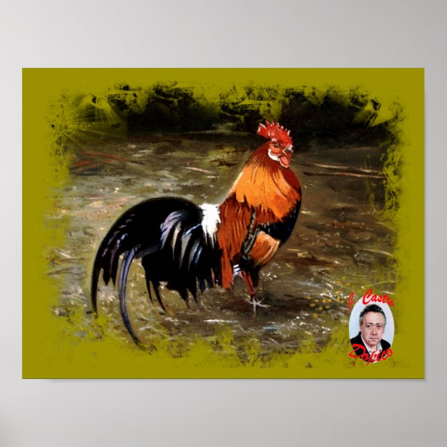 Gallo/Galo/Tupp Poster (Framsidan)