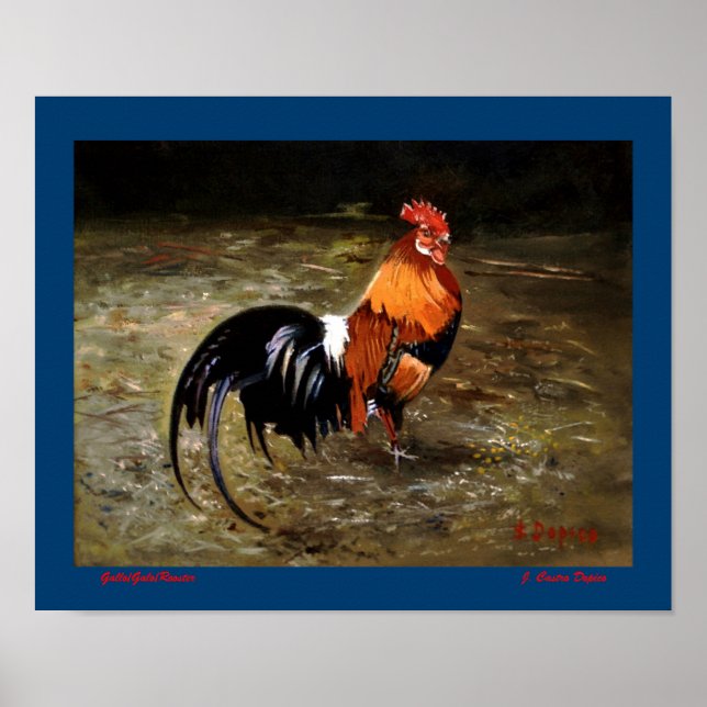 Gallo/Galo/Tupp Poster (Framsidan)