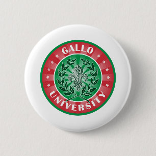 Gallo universitetenitalienare knapp