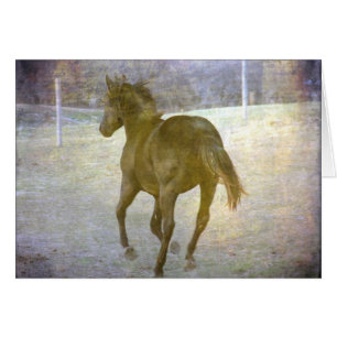 Gallop Away Hälsningskort