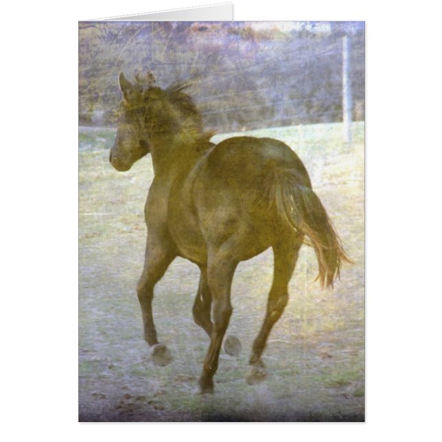 Gallop Away Hälsningskort (Framsidan)
