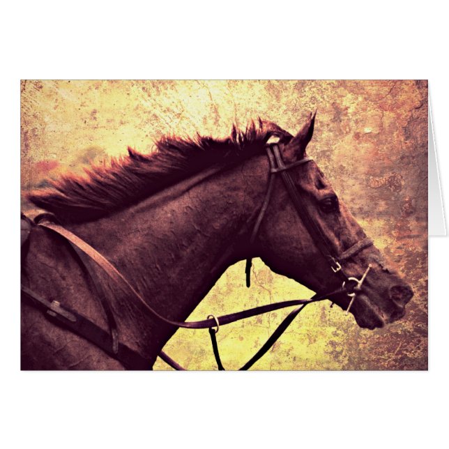 Gallop Grunge Hälsningskort (Framsidan Horizontal)