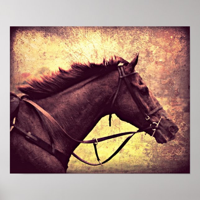 Gallop Grunge Poster (Framsidan)