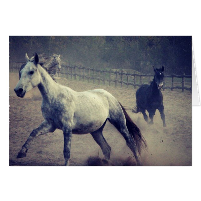 Gallop Hälsningskort (Framsidan Horizontal)